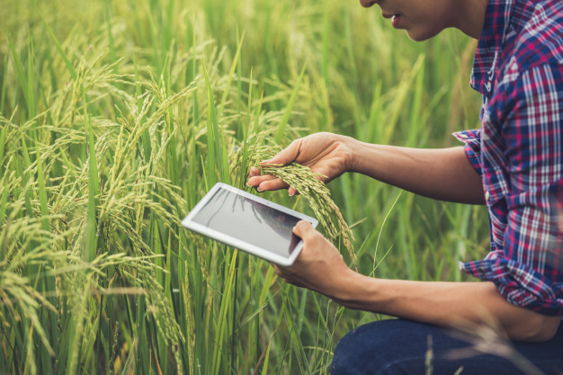 Farmer Uysing a Tablet